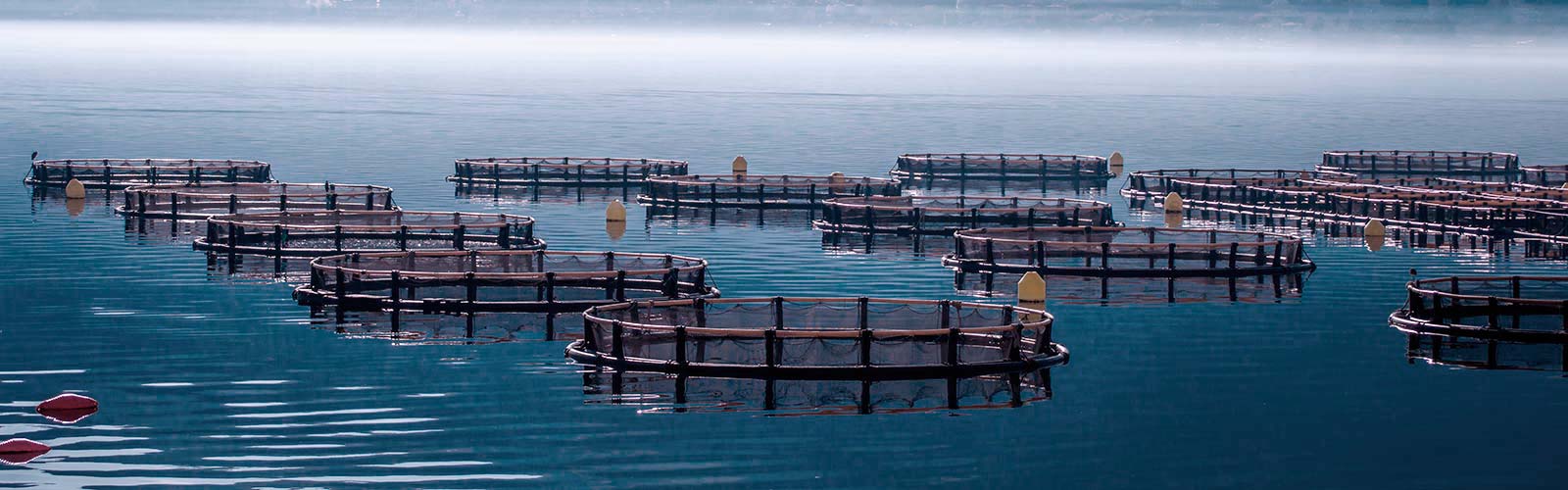 TUGPINS towing pins, shark jaws and stoppers op maat zijn geschikt voor de visserij.